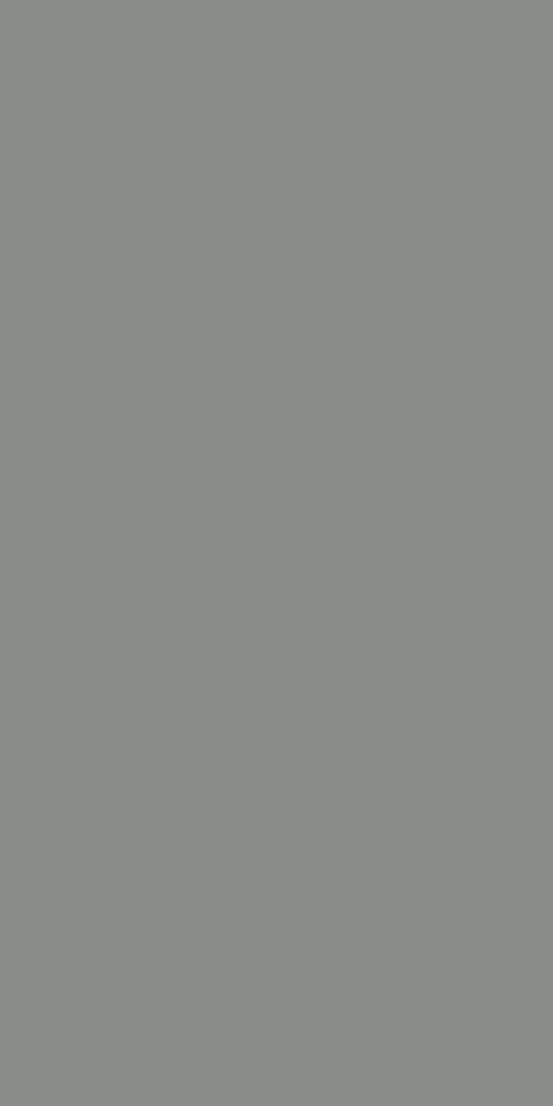 21369 Sf 1.0 Mm Merino Laminates Pebble Grey (Suede)